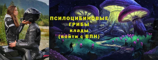 COCAINE Белокуриха